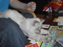 Playing Games