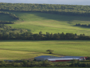 Dairy farm