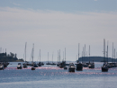 Boats in the harbour.jpg