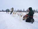 Dog-sledding.jpg