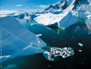 Seals resting in Antarctica.jpg