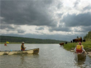 The welcoming comittee as the group approaches shore 