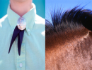 Horse tie